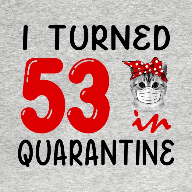 I Turned 53 In Quarantine Funny Cat Facemask by David Darry